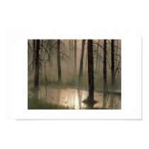 Forest of floods posters