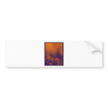 Forest of Orange Light Bumper Stickers