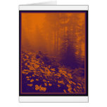 Forest of Orange Light Greeting Card