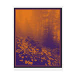 Forest of Orange Light Postcards
