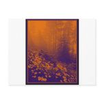 Forest of Orange Light Postcards