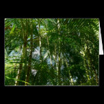 Forest of Palm Trees Card