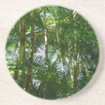 Forest of Palm Trees Coaster