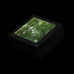 Forest of Palm Trees Gift Box