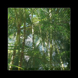 Forest of Palm Trees Magnet