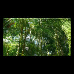 Forest of Palm Trees Photo Print