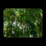 Forest of Palm Trees Premium Magnet