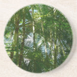 Forest of Palm Trees Tropical Green Drink Coaster
