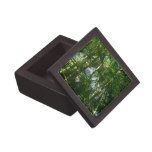 Forest of Palm Trees Tropical Green Keepsake Box
