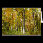 Forest of Yellow Leaves Card