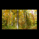 Forest of Yellow Leaves Print