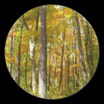 Forest of Yellow Leaves Sticker