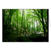 Forest off-spring cards