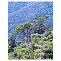 Forest On Moehau Mountain, Coromandel Peninsula Personalized Flyer