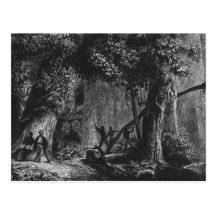 Forest Opening from 'Bresil, Columbie at Post Card