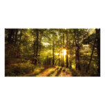 Forest Path - 2 Photo Card