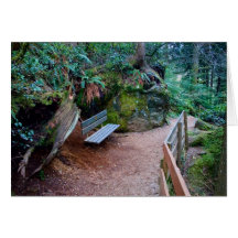 Forest Path Bench Blank Card