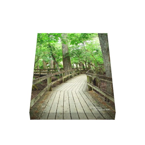 Forest path boardwalk Stretched Canvas Print