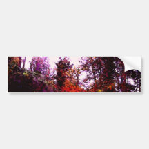 Forest Path Bumper Stickers