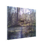 Forest Path Canvas Prints