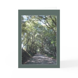 Forest Path card