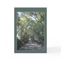 Forest Path cards by floatinglemons Forest Path cards