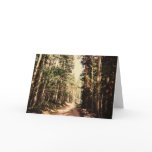 Forest Path Greeting Card