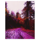 Forest Path Personalized Flyer