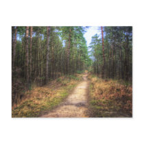 Forest Path HDR Art postcard postcards