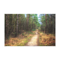 Forest Path HDR canvas print canvas prints