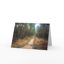 Forest Path HDR greetings card cards