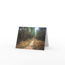 Forest Path HDR note card cards