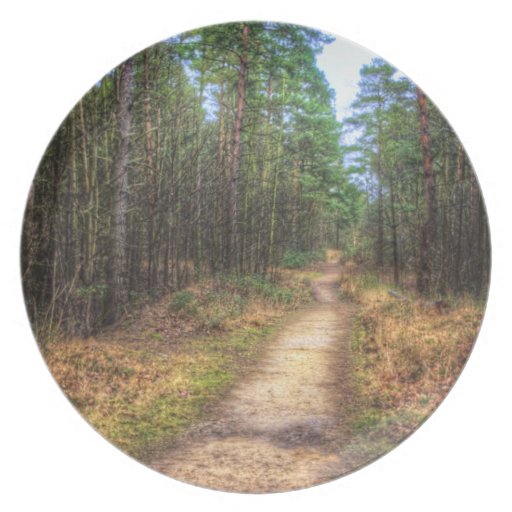 Forest Path HDR plate