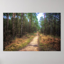 Forest Path HDR poster print posters
