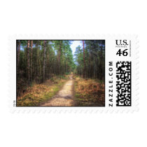 Forest Path HDR stamps