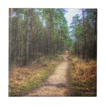 Forest Path HDR tile or trivet tiles