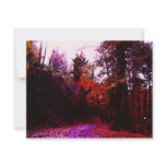 Forest Path Personalized Invites