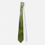 FOREST PATH NeckTie