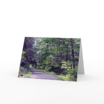 Forest path - notecards by Horseshoes3 Forest path - notecards