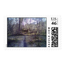 Forest Path Postage
