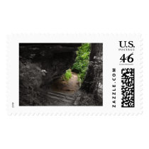 Forest Path postage by bhbphotos Forest Path postage