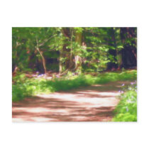 Forest Path Postcard postcards