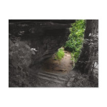 Forest Path postcards by bhbphotos Forest Path postcards