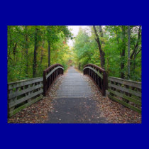 Forest Path Print by ndcsbd1 Forest Path Print