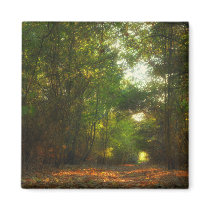 Forest Pathway fridge magnet magnets