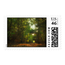 Forest Pathway postage stamps