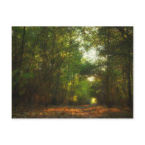 Forest Pathway postcard postcards