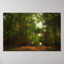 Forest Pathway poster print posters