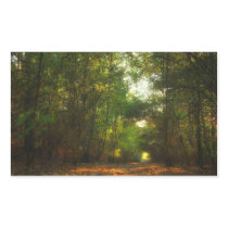 Forest Pathway stickers (rectangle) stickers