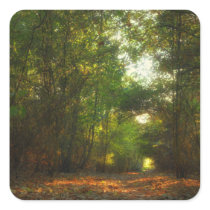 Forest Pathway stickers (square) stickers